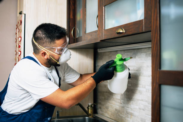  East Moline, IL Pest Control Pros