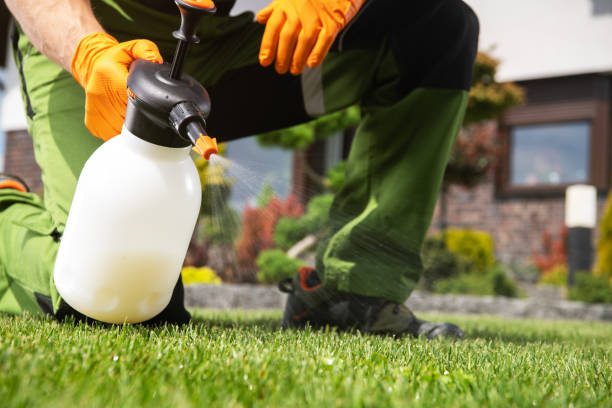 Best Spider Control Near Me  in East Moline, IL