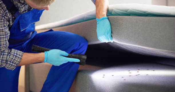Best Local Pest Control Services  in East Moline, IL