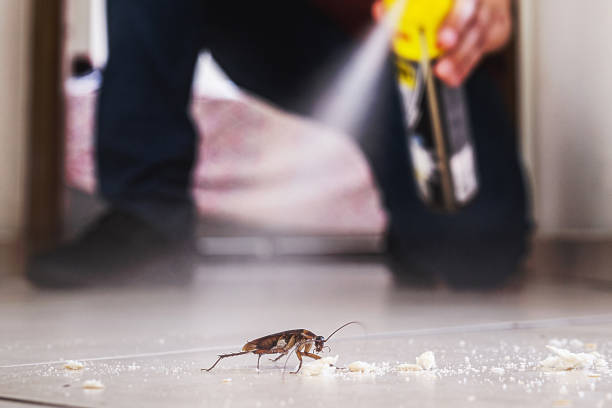 Best Commercial Pest Control Services  in East Moline, IL