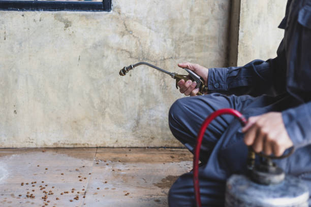 Best Residential Pest Control  in East Moline, IL