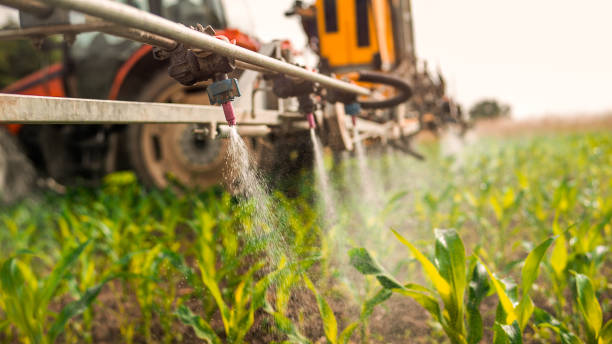 Best Insect Control  in East Moline, IL